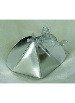 Geschenkbox in Silber Geschenkbox in Silber