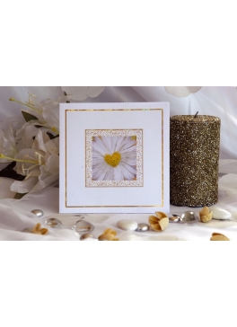 Blume 40228 Blume 40228