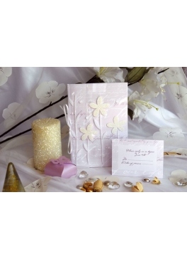 Blume 10824 Blume 10824